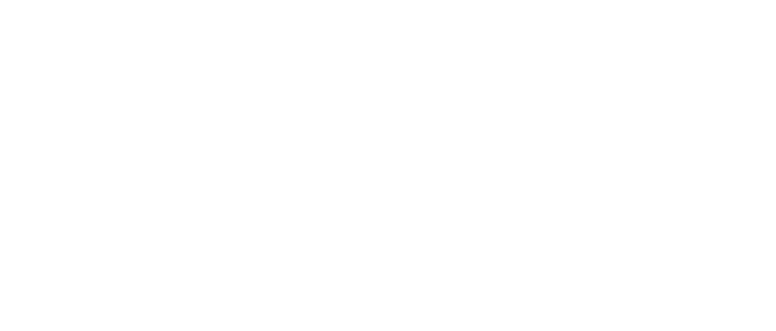Business Growth Intensive